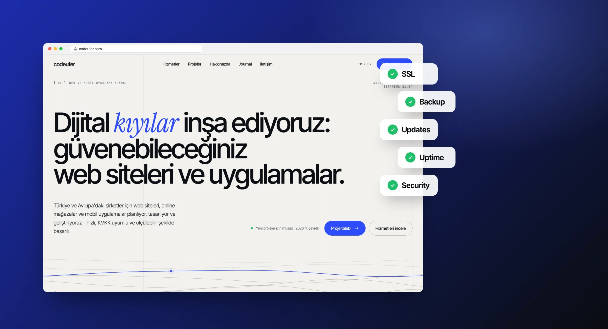 Bakım ve Hosting